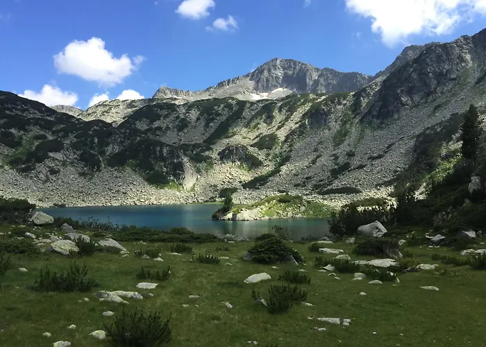 Deluxe In Belvedere With Terrace Apartment *